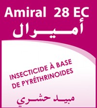 AMIRAL 28 EC