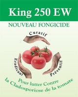  KING 250 EW 