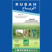 RUBAH
