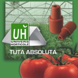 Phéromone Tuta absoluta 